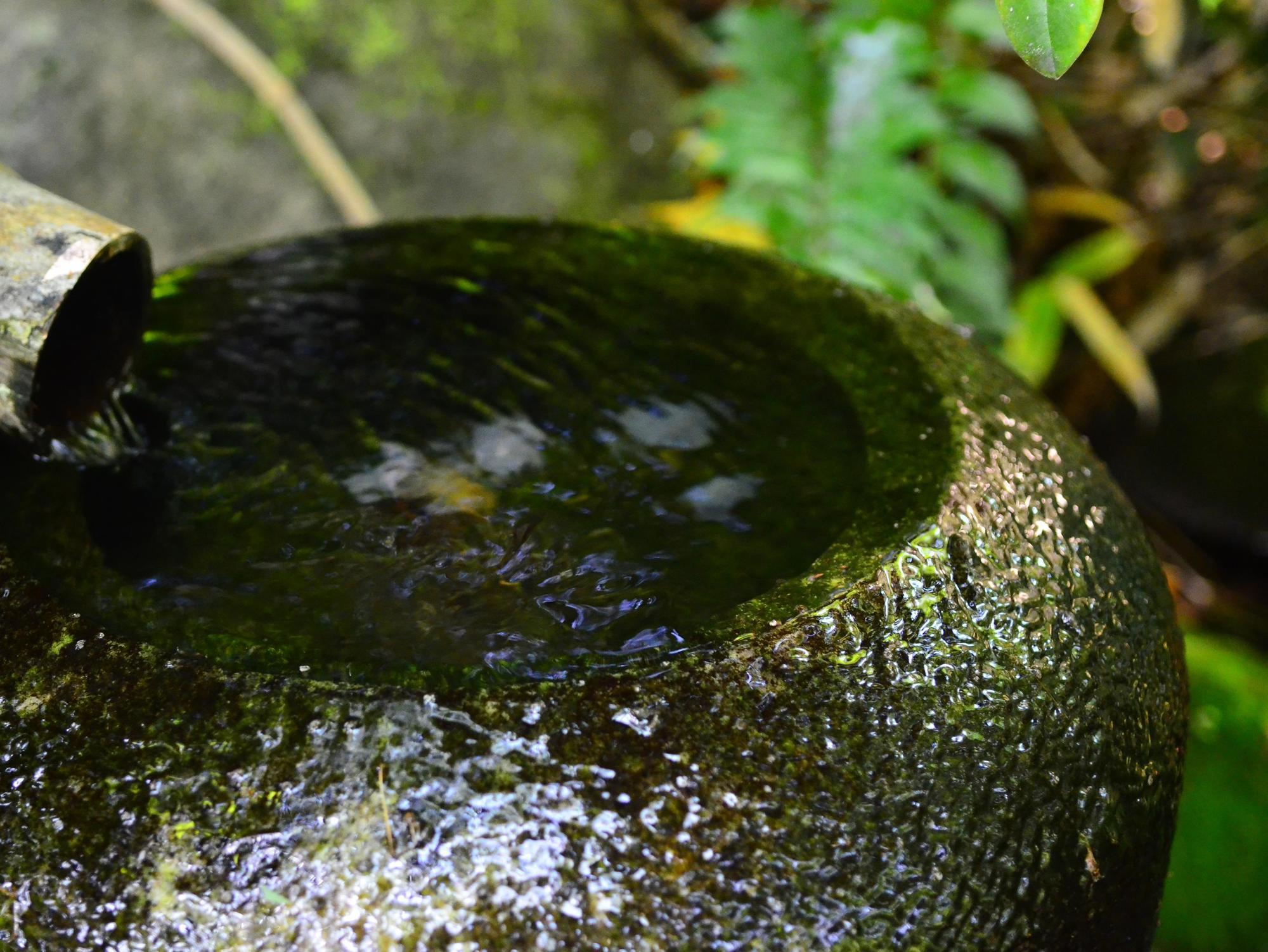 Yufuin Ryokan Nogiku Exteriér fotografie